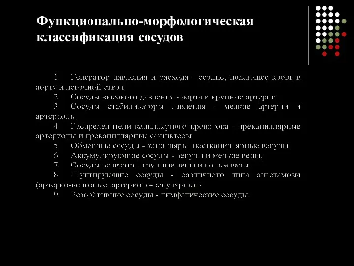 Функционально-морфологическая классификация сосудов