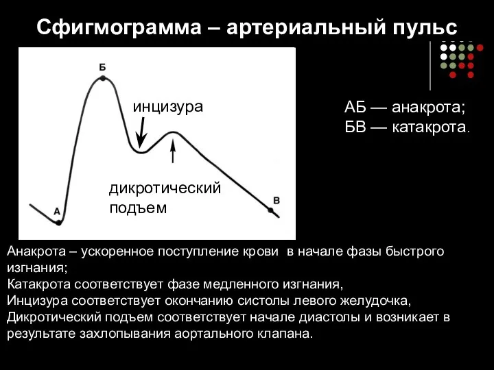 Сфигмограмма – артериальный пульс АБ — анакрота; БВ — катакрота. инцизура