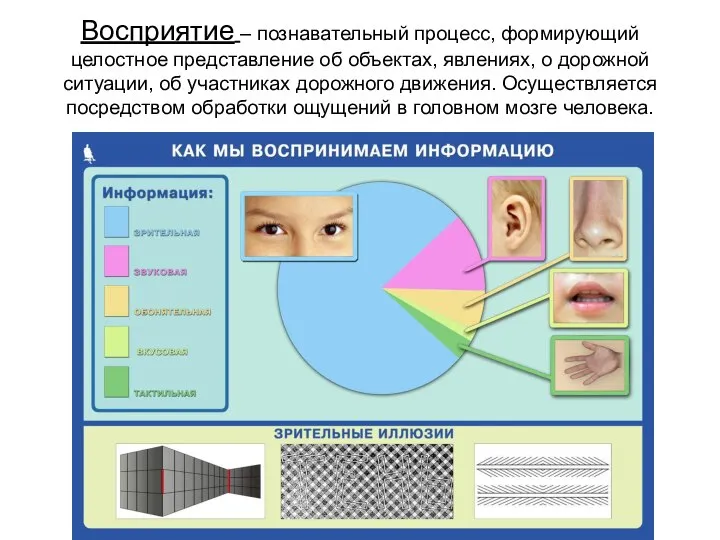 Восприятие – познавательный процесс, формирующий целостное представление об объектах, явлениях, о