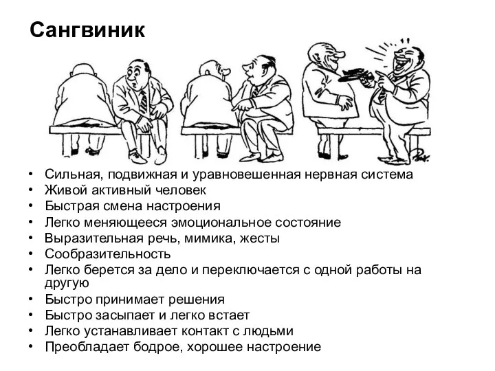 Сангвиник Сильная, подвижная и уравновешенная нервная система Живой активный человек Быстрая