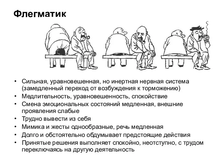 Флегматик Сильная, уравновешенная, но инертная нервная система (замедленный переход от возбуждения