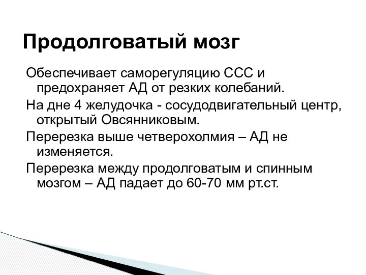 Обеспечивает саморегуляцию ССС и предохраняет АД от резких колебаний. На дне