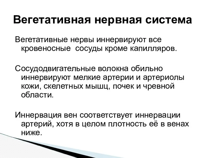 Вегетативные нервы иннервируют все кровеносные сосуды кроме капилляров. Сосудодвигательные волокна обильно