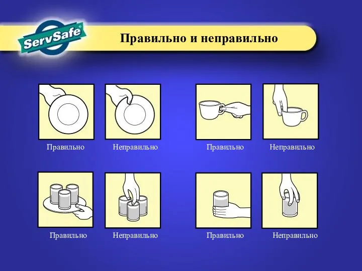 Правильно и неправильно Правильно Неправильно Неправильно Неправильно Правильно Правильно Правильно Неправильно