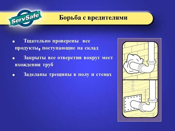 Тщательно проверены все продукты, поступающие на склад Закрыты все отверстия вокруг