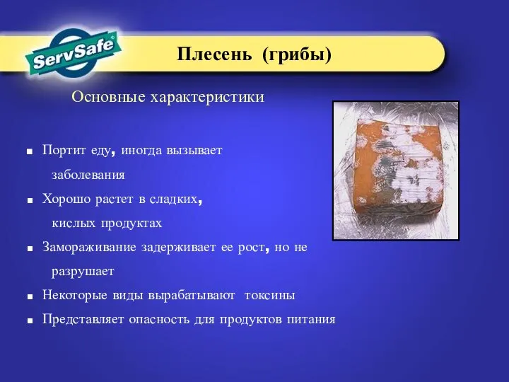 Основные характеристики Портит еду, иногда вызывает заболевания Хорошо растет в сладких,