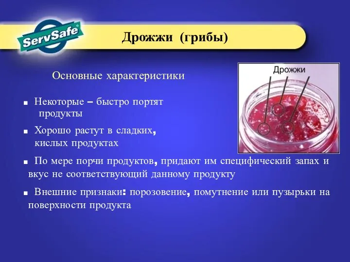 Основные характеристики Некоторые – быстро портят продукты Хорошо растут в сладких,