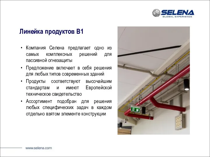 Линейка продуктов B1 Компания Селена предлагает одно из самых комплексных решений
