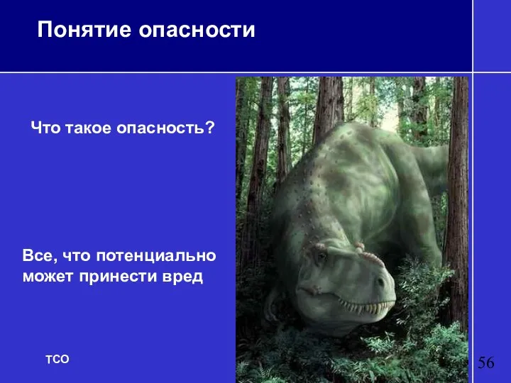 Понятие опасности Что такое опасность? Все, что потенциально может принести вред