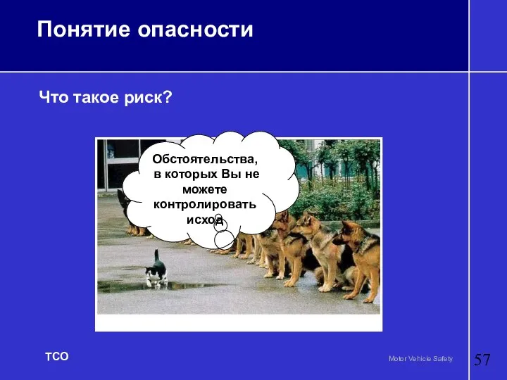 Понятие опасности Что такое риск? Обстоятельства, в которых Вы не можете контролировать исход