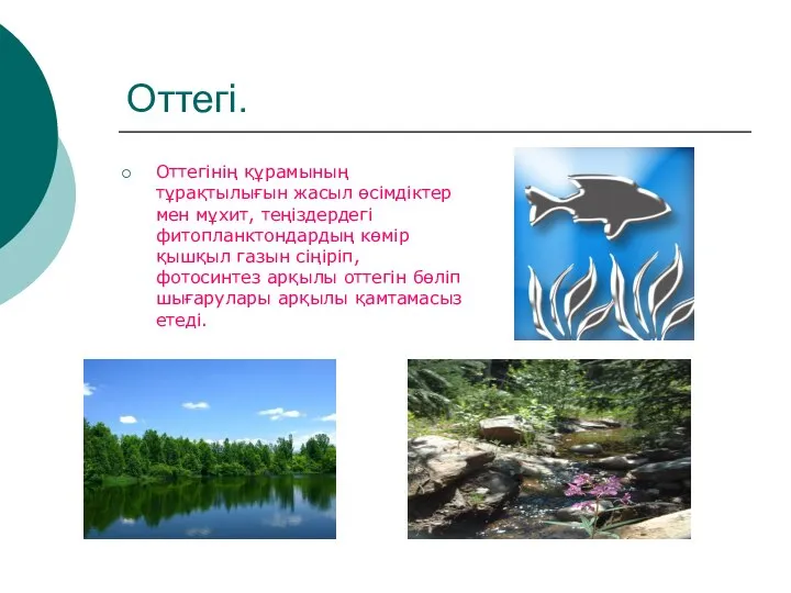 Оттегі. Оттегінің құрамының тұрақтылығын жасыл өсімдіктер мен мұхит, теңіздердегі фитопланктондардың көмір