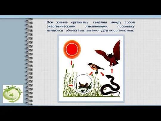 Все живые организмы связаны между собой энергетическими отношениями, поскольку являются объектами питания других организмов.