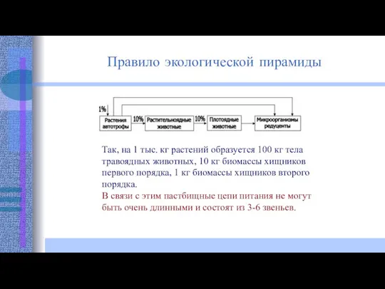 Так, на 1 тыс. кг растений образуется 100 кг тела травоядных