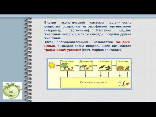 Внутри экологической системы органические вещества создаются автотрофными организмами (например, растениями). Растения