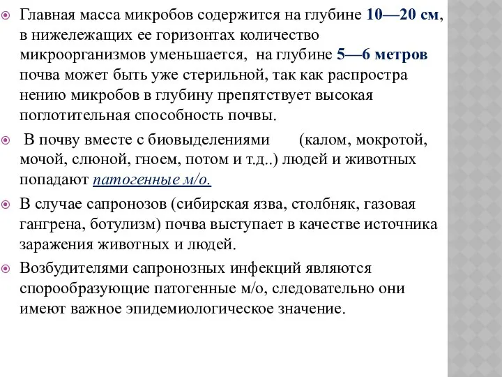 Главная масса микробов содержится на глу­бине 10—20 см, в нижележащих ее