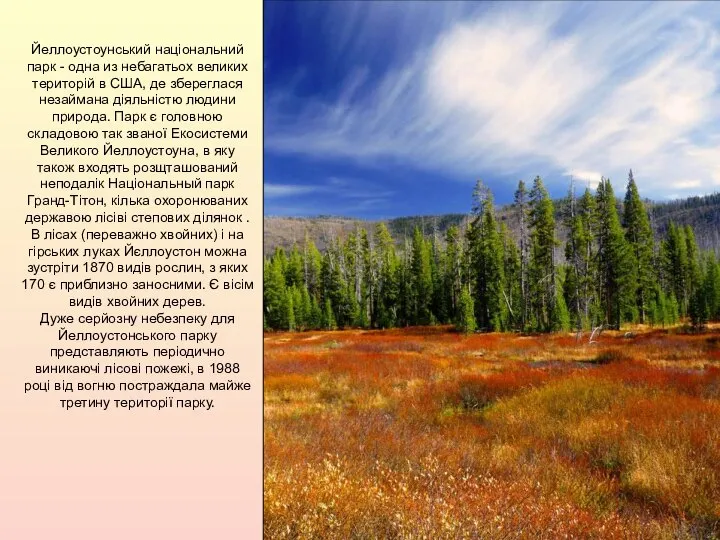 Йеллоустоунський національний парк - одна из небагатьох великих територій в США,