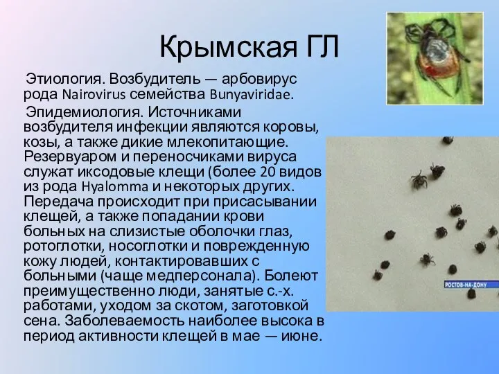 Крымская ГЛ Этиология. Возбудитель — арбовирус рода Nairovirus семейства Bunyaviridae. Эпидемиология.