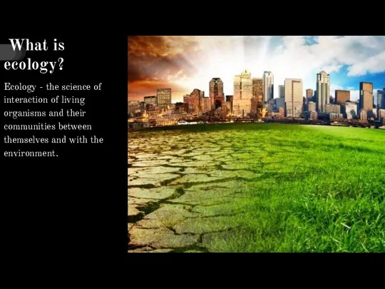 What is ecology? Ecology - the science of interaction of living