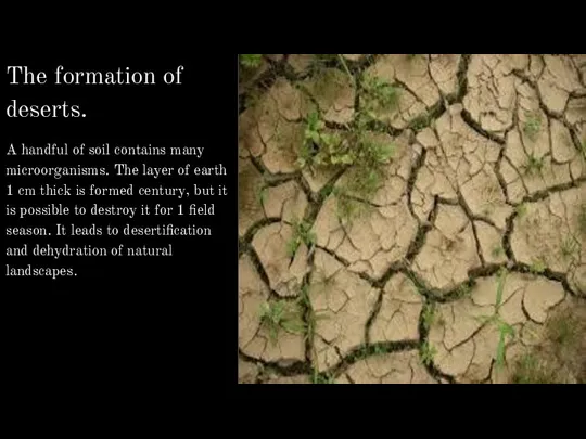 The formation of deserts. A handful of soil contains many microorganisms.