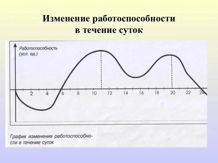 Изменение работоспособности в течение суток