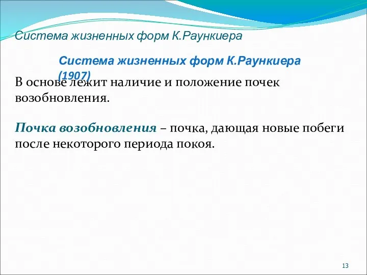 Система жизненных форм К.Раункиера В основе лежит наличие и положение почек