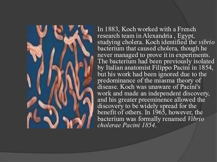 In 1883, Koch worked with a French research team in Alexandria