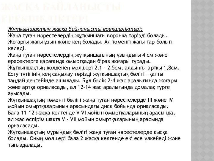 ЖАСҚА БАЙЛАНЫСТЫ ЕРЕКШЕЛІКТЕРІ Жұтқыншақтың жасқа байланысты ерекшеліктері: Жаңа туған нәрестелердің жұтқыншағы