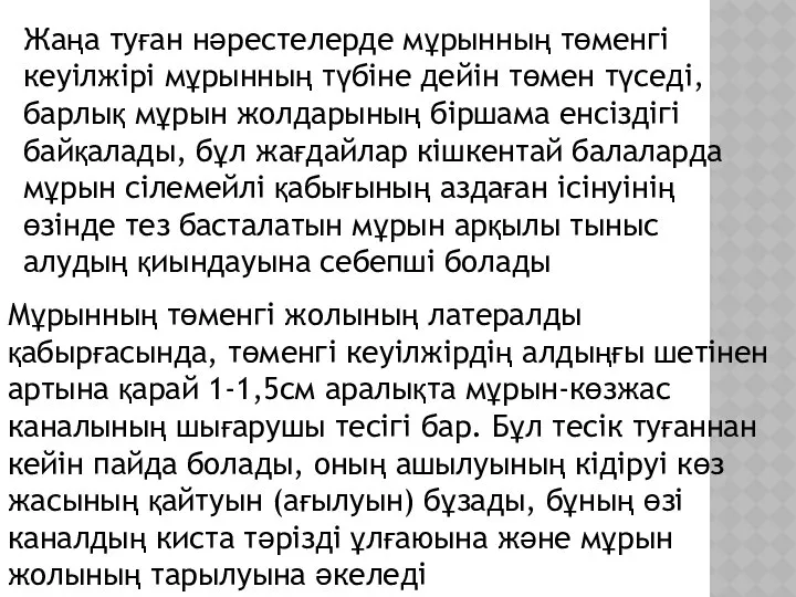 Жаңа туған нәрестелерде мұрынның төменгі кеуілжірі мұрынның түбіне дейін төмен түседі,