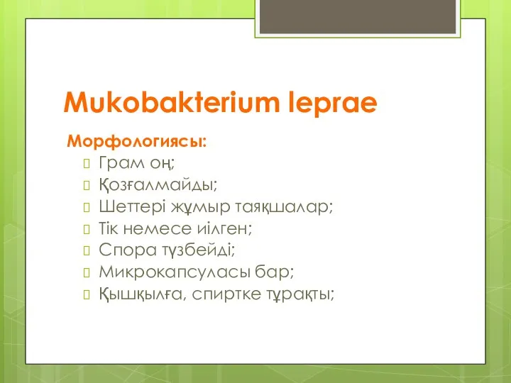 Mukobakterium leprae Морфологиясы: Грам оң; Қозғалмайды; Шеттері жұмыр таяқшалар; Тік немесе