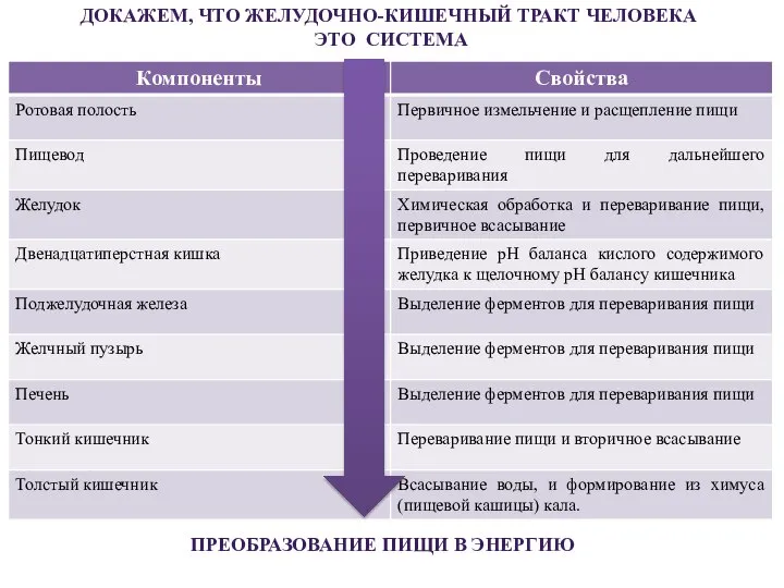 ДОКАЖЕМ, ЧТО ЖЕЛУДОЧНО-КИШЕЧНЫЙ ТРАКТ ЧЕЛОВЕКА ЭТО СИСТЕМА ПРЕОБРАЗОВАНИЕ ПИЩИ В ЭНЕРГИЮ