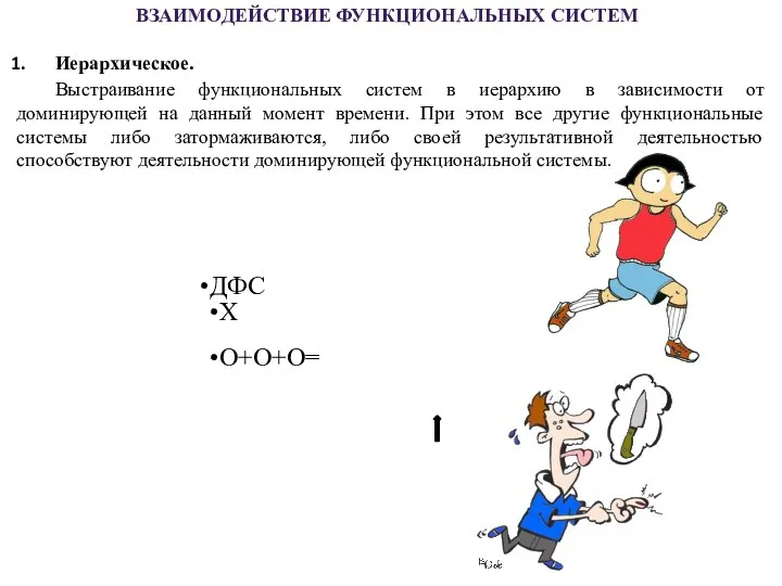 ДФС Х О+О+О= ВЗАИМОДЕЙСТВИЕ ФУНКЦИОНАЛЬНЫХ СИСТЕМ Иерархическое. Выстраивание функциональных систем в