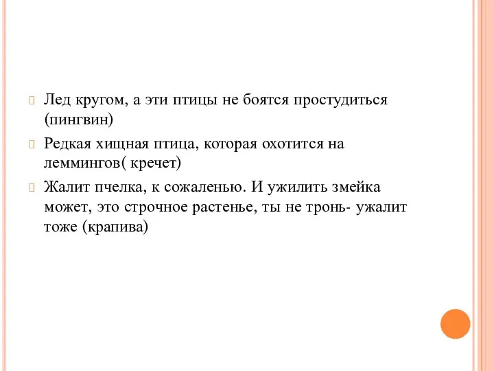 Лед кругом, а эти птицы не боятся простудиться(пингвин) Редкая хищная птица,