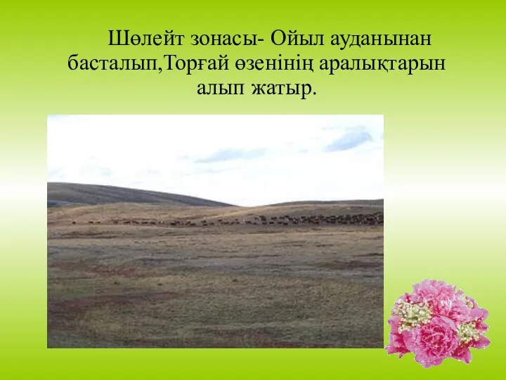 Шөлейт зонасы- Ойыл ауданынан басталып,Торғай өзенінің аралықтарын алып жатыр.