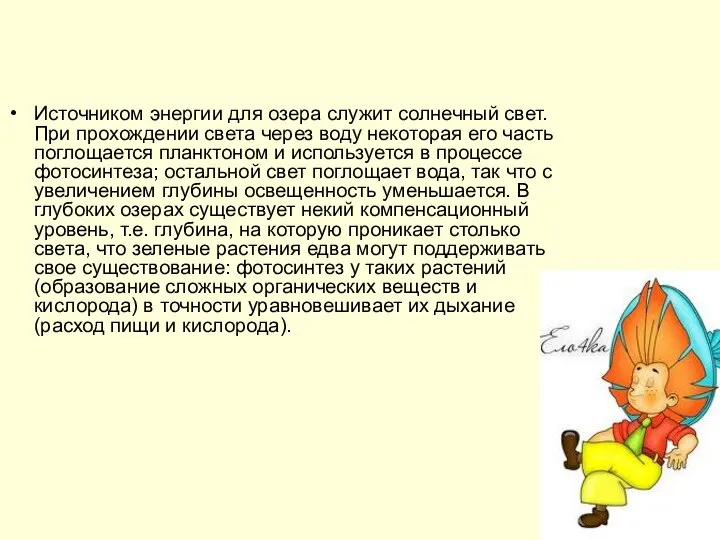 Источником энергии для озера служит солнечный свет. При прохождении света через