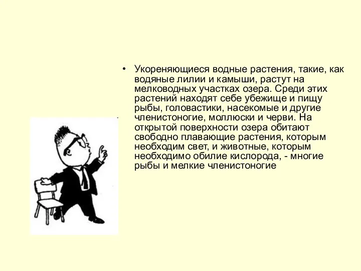 Укореняющиеся водные растения, такие, как водяные лилии и камыши, растут на