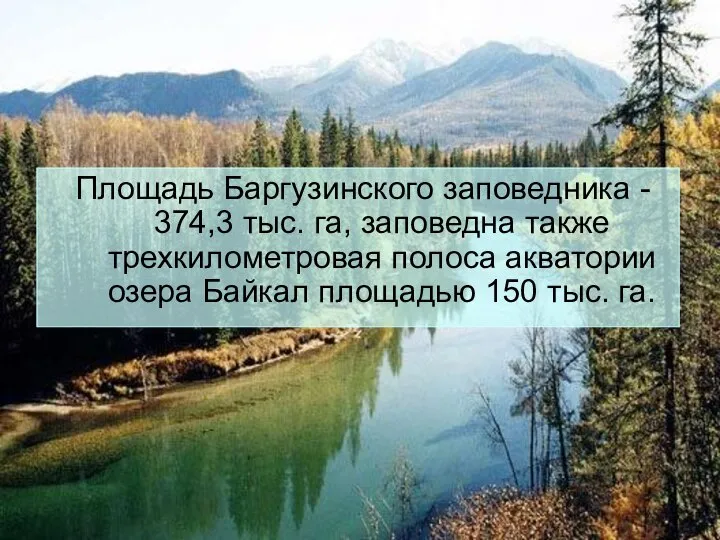 Площадь Баргузинского заповедника - 374,3 тыс. га, заповедна также трехкилометровая полоса