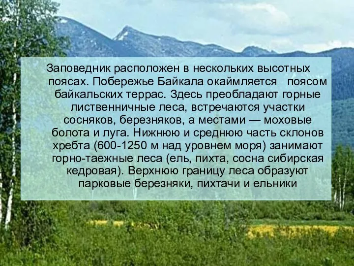 Заповедник расположен в нескольких высотных поясах. Побережье Байкала окаймляется поясом байкальских