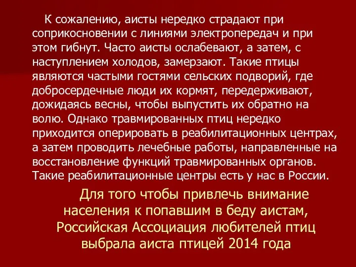 К сожалению, аисты нередко страдают при соприкосновении с линиями электропередач и