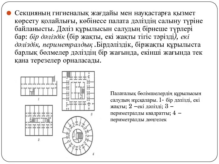 Секцияның гигиеналық жағдайы мен науқастарға қызмет көрсету қолайлығы, көбінесе палата дәліздің