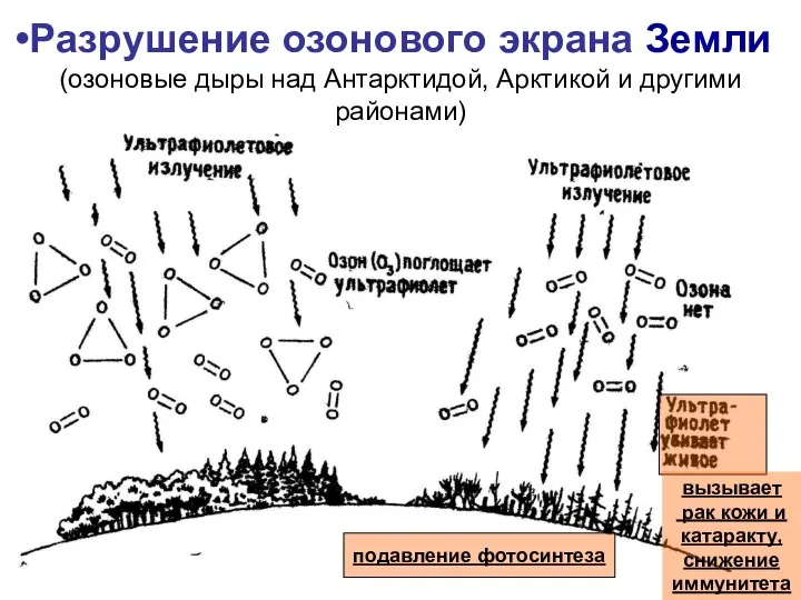 Разрушение озонового экрана Земли (озоновые дыры над Антарктидой, Арктикой и другими