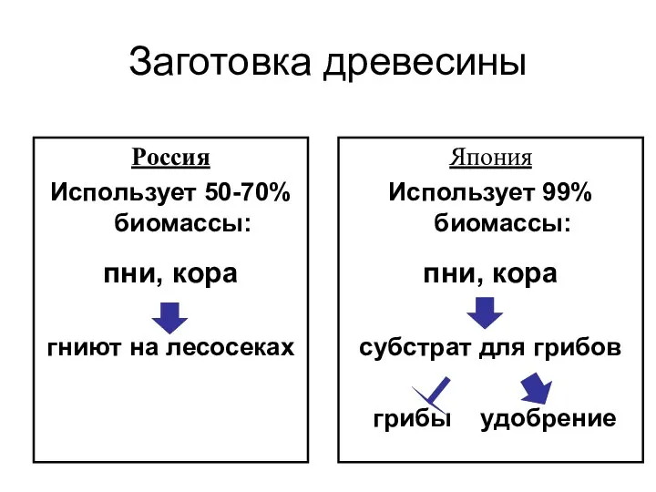 Заготовка древесины Россия Использует 50-70% биомассы: пни, кора гниют на лесосеках