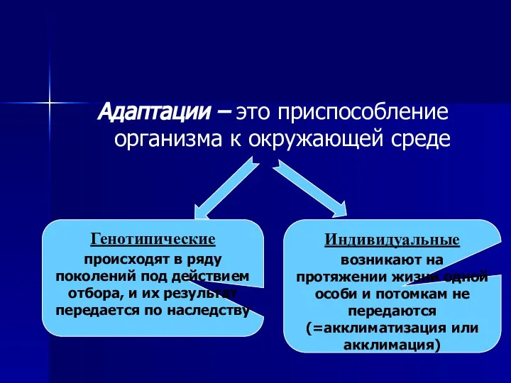 Адаптации – это приспособление организма к окружающей среде Генотипические происходят в