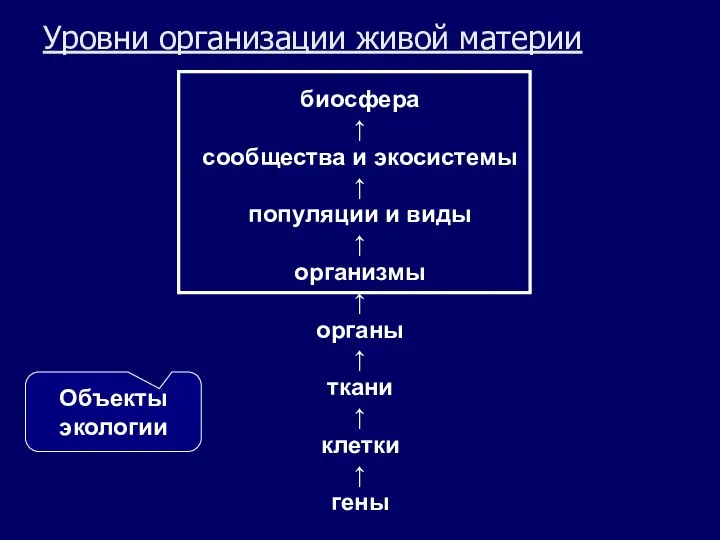 Уровни организации живой материи биосфера ↑ сообщества и экосистемы ↑ популяции