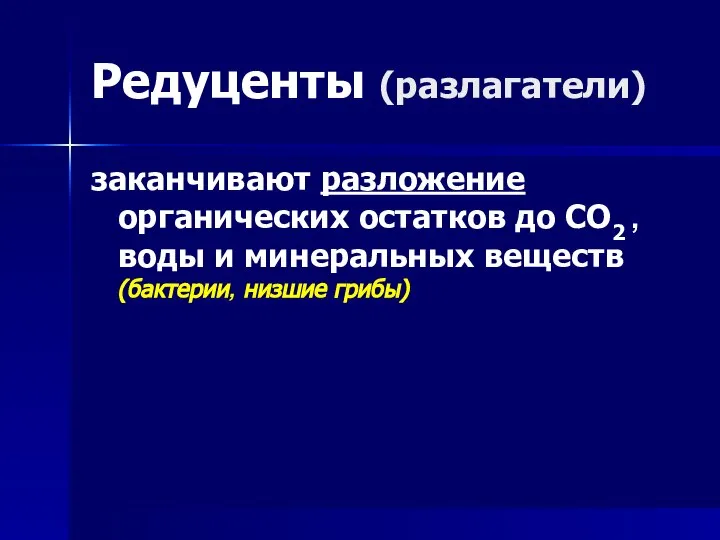 Редуценты (разлагатели) заканчивают разложение органических остатков до СО2 , воды и минеральных веществ (бактерии, низшие грибы)