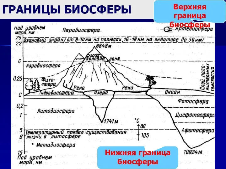 ГРАНИЦЫ БИОСФЕРЫ Нижняя граница биосферы Верхняя граница биосферы