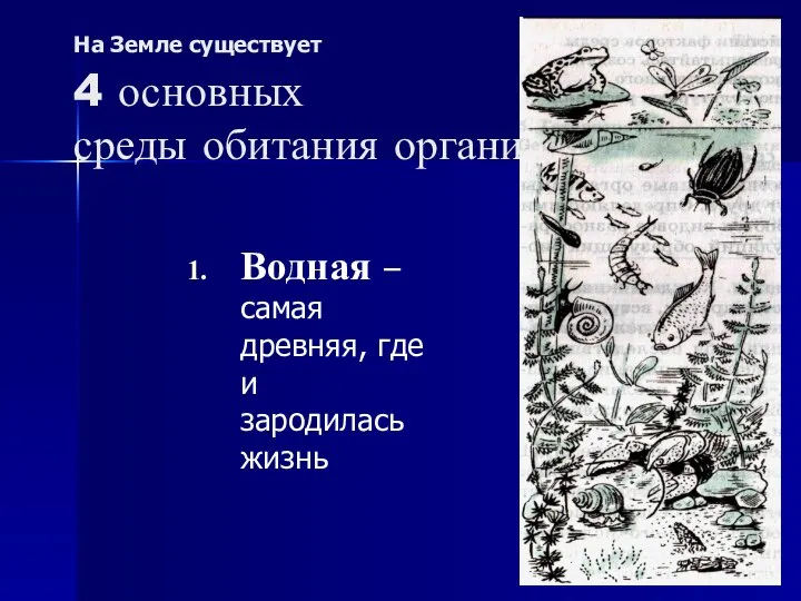 На Земле существует 4 основных среды обитания организмов: Водная – самая древняя, где и зародилась жизнь