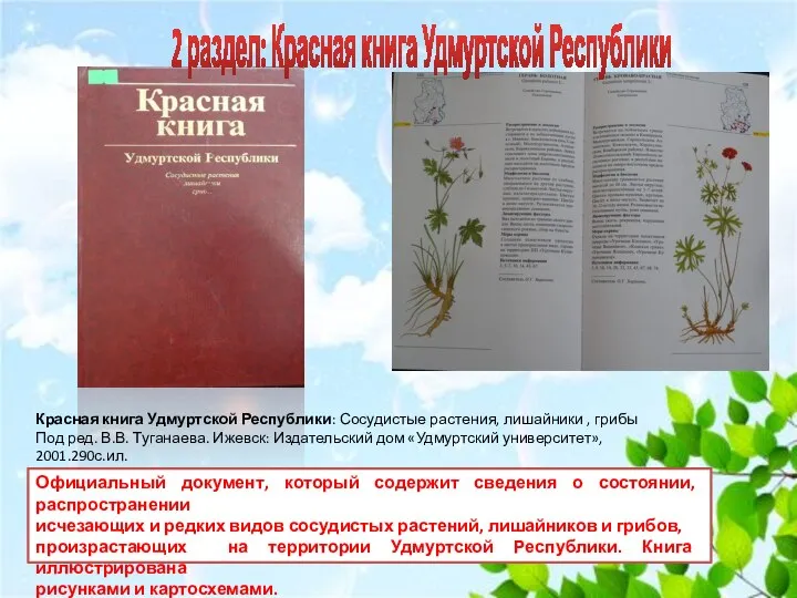 Красная книга Удмуртской Республики: Сосудистые растения, лишайники , грибы Под ред.