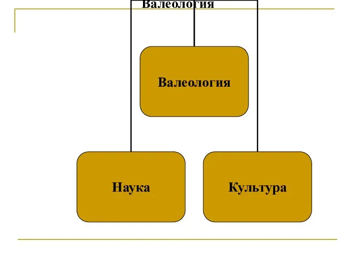 Валеология