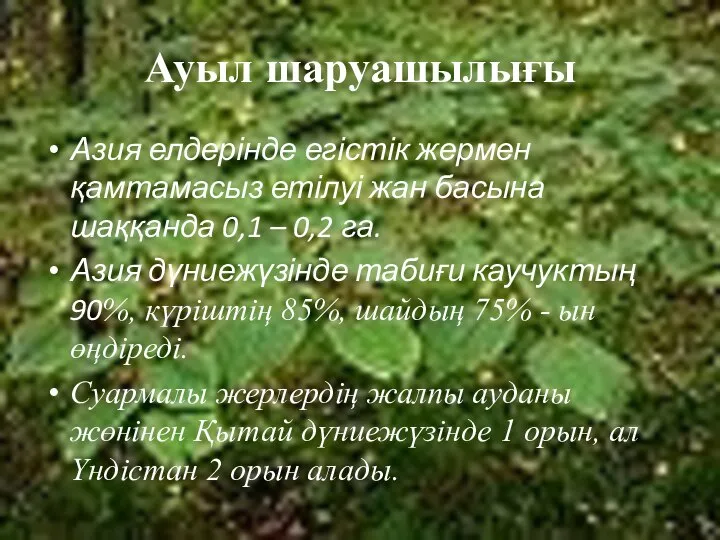 Ауыл шаруашылығы Азия елдерінде егістік жермен қамтамасыз етілуі жан басына шаққанда