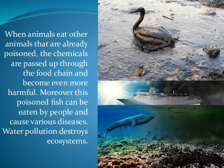When animals eat other animals that are already poisoned, the chemicals